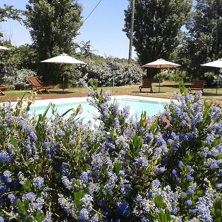 B&B La Ferme De Loubens Экстерьер фото