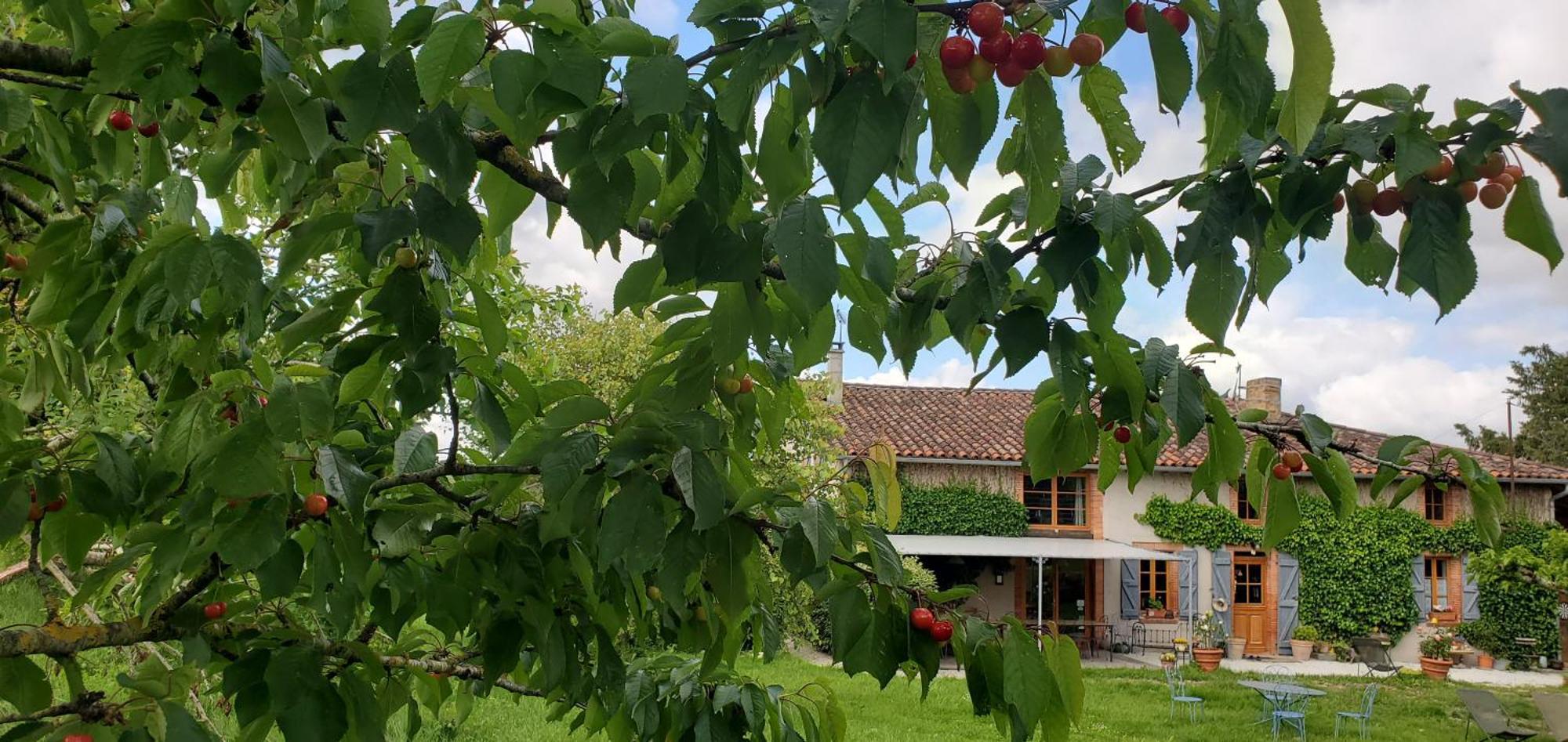 B&B La Ferme De Loubens Экстерьер фото